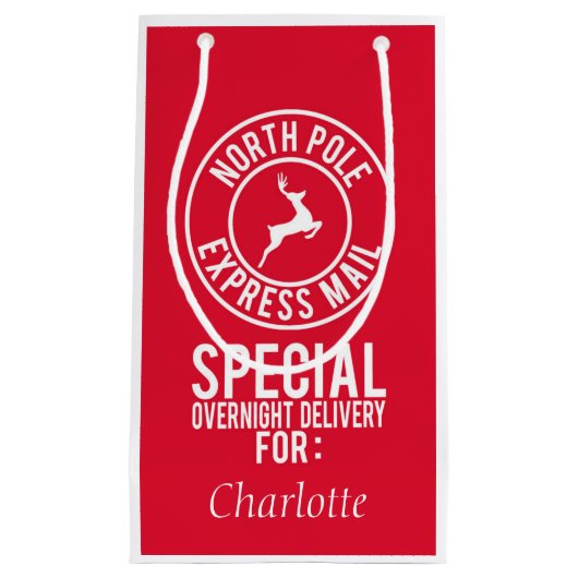 赤と白の北極のメ表現ール名 スモールペーパーバッグ (正面)