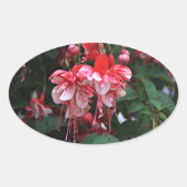 赤と白の明るい赤紫色の花の庭の開花 楕円形シール (正面)