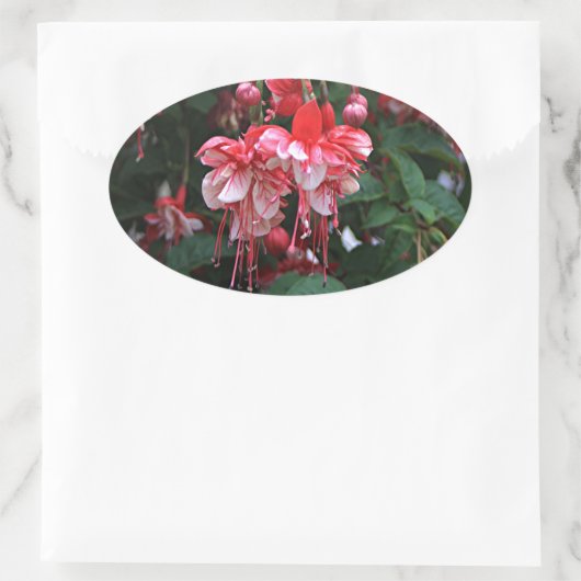 赤と白の明るい赤紫色の花の庭の開花 楕円形シール (バッグ)