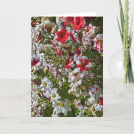 赤と白の花のデザインのグリーティングカード カード