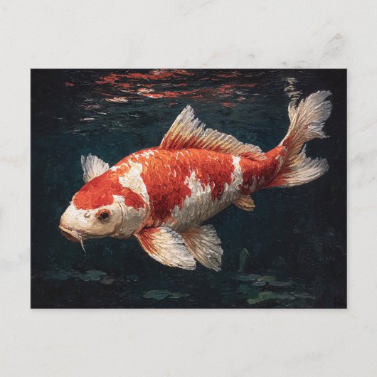 赤と白の輝く鯉の魚 ポストカード (正面)