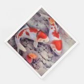 赤と白コイ魚池 (コーナー)