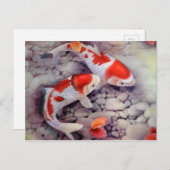 赤と白コイ魚池 ポストカード (正面/裏面)