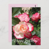 赤と白バラ花フローラバラカード ポストカード (正面/裏面)