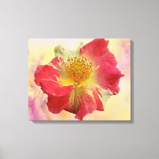 赤と白バラ キャンバスプリント (正面)