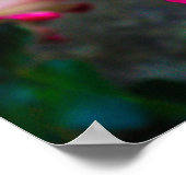 赤と白バラ ポスター (角)