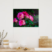 赤と白バラ ポスター (キッチン)