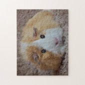 赤と白ペットギニアピグ ジグソーパズル (縦)