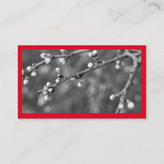 赤と白ミニマル 名刺 (裏面)