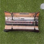 赤と白列車 アウトドアクッション (芝生)