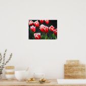 赤と白口 ポスター (キッチン)