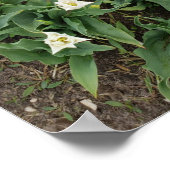 赤と白口 ポスター (角)