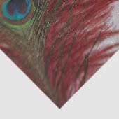 赤と白孔雀 薄葉紙 (詳細)