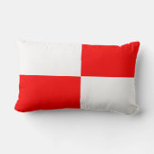 赤と白市松模様に板パターン ランバークッション (裏面)