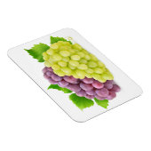 赤と白葡萄 マグネット (右側)