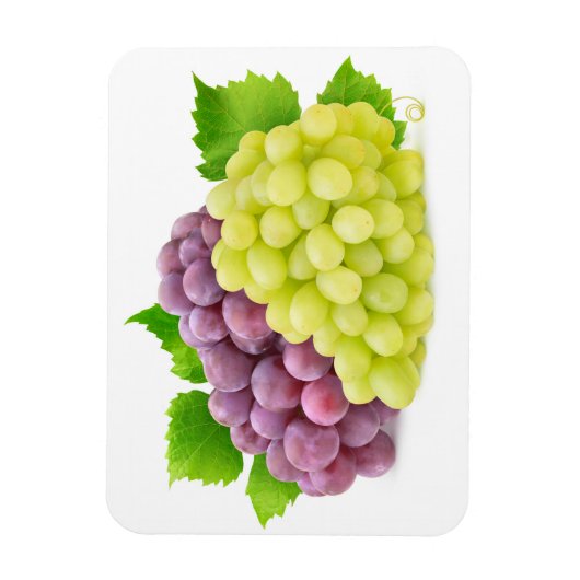 赤と白葡萄 マグネット (縦)