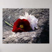 赤と白 ポスター (正面)