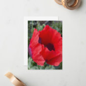 赤と紫のアヘンのケシ ノートカード (正面/裏面インサイチュ)