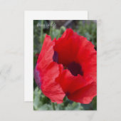 赤と紫のアヘンのケシ ノートカード (正面/裏面)
