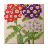 赤と紫の弁花 タイル (正面)