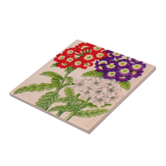 赤と紫の弁花 タイル (側面)