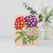 赤と紫の弁花 ポストカード (スタンド正面)