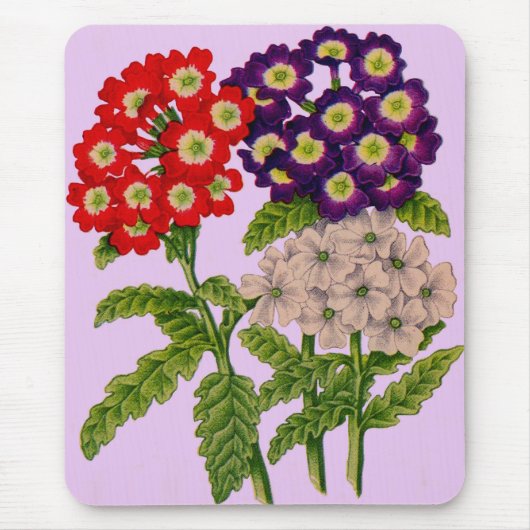 赤と紫の弁花 マウスパッド (正面)