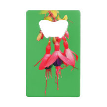 赤と紫の花