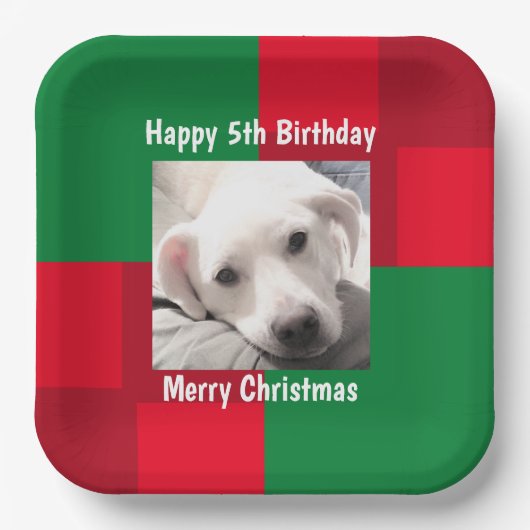 赤と緑かわいい犬の写真ホリデー5誕生日 ペーパープレート (正面)