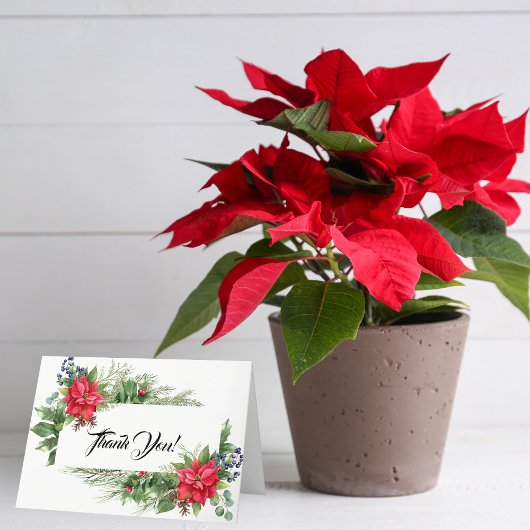 赤と緑のクリスマスプエルセチア サンキューカード