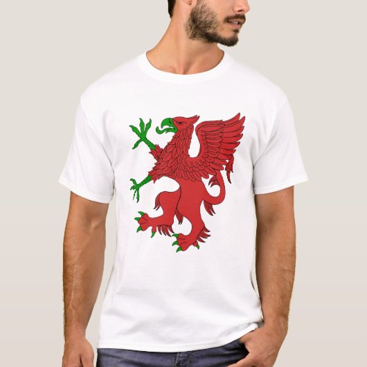 赤と緑のグリフィン Tシャツ (正面)