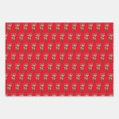 赤と緑のサンタクロースのクリスマス ラッピングペーパーシート (正面3)