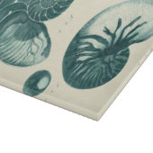 赤と緑のシーシェルアート カッティングボード (角)