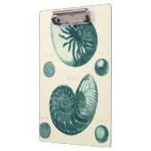 赤と緑のシーシェルアート クリップボード (左)