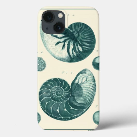 赤と緑のシーシェルアート Case-Mate iPhoneケース (裏面)
