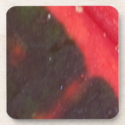 赤と緑のハワイアン斑入り葉 コースター (正面)