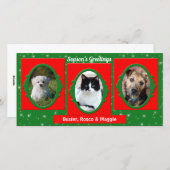赤と緑のペット好き3写真 シーズンカード (正面/裏面)