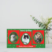 赤と緑のペット好き3写真 シーズンカード (スタンド正面)