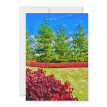 赤と緑のホリデーカード