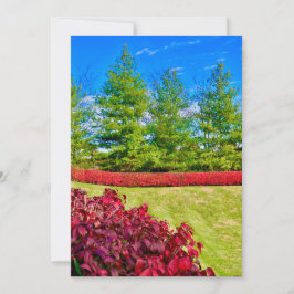 赤と緑のホリデーカード シーズンカード