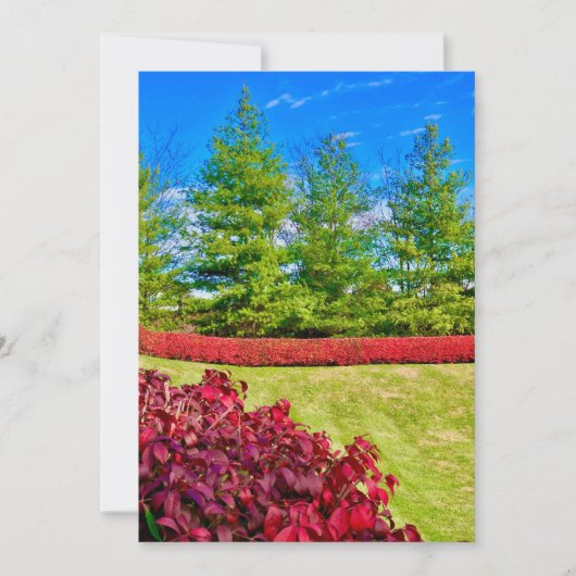 赤と緑のホリデーカード シーズンカード (正面)