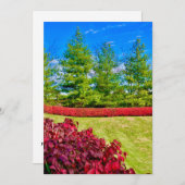 赤と緑のホリデーカード シーズンカード (正面/裏面)