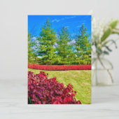 赤と緑のホリデーカード シーズンカード (スタンド正面)