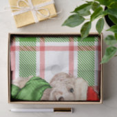 赤と緑の格子模様のコックパクリスマスドッグ 薄葉紙 (ギフト)