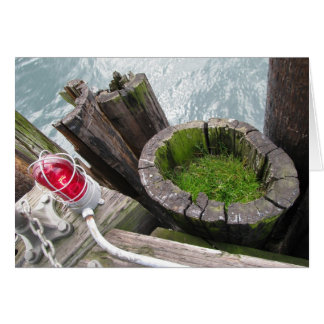 赤と緑の芝生のカー空白のド