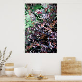 赤と緑の雑草 ポスター (キッチン)