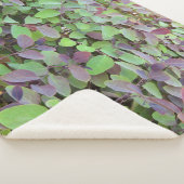 赤と緑葉の枝の写真 シェルパブランケット (3/4)