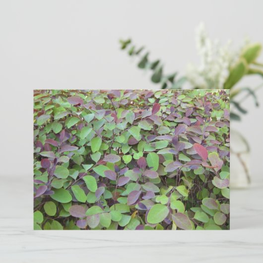 赤と緑葉の枝の写真 ノートカード (スタンド正面)