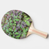 赤と緑葉の枝の写真 卓球ラケット (横)