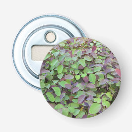 赤と緑葉の枝の写真 栓抜き